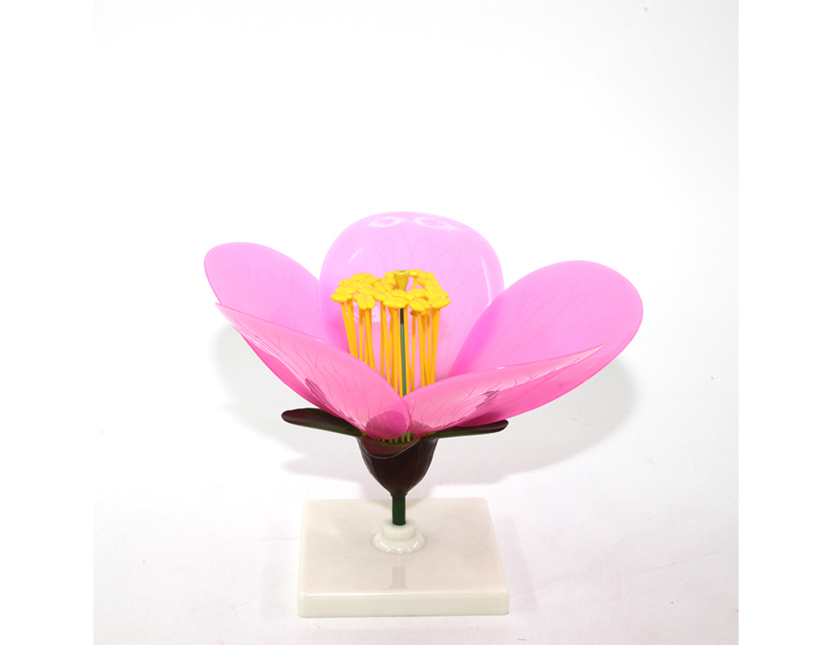 Peach Blossom Model Flower model