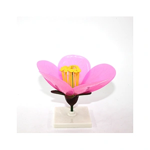 Peach Blossom Model Flower model