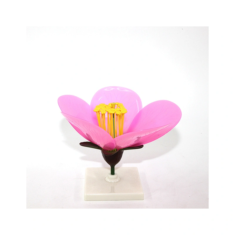 Peach Blossom Model Flower model