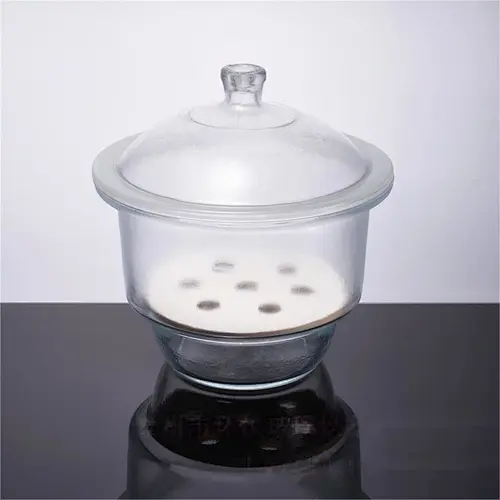 Vacuum Desiccator with porcelain plate,clear glass