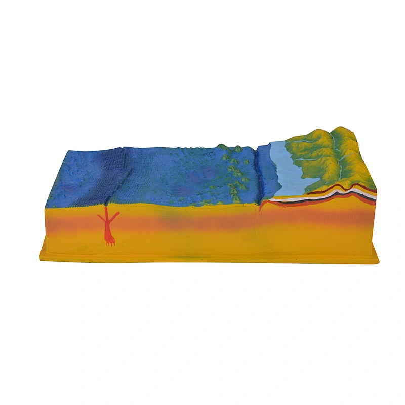 Ocean geographic Model