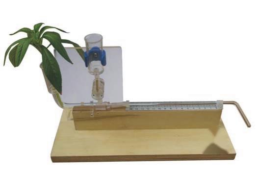 Poto Meter with wooden base