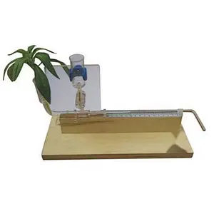 Poto Meter with wooden base