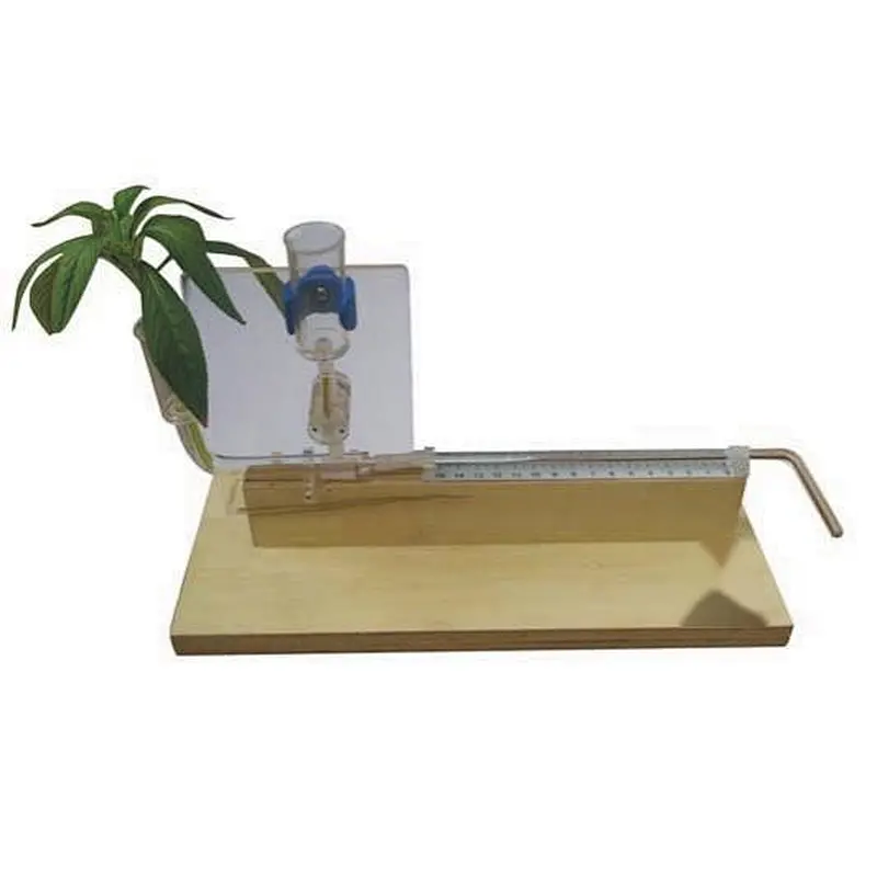 Poto Meter with wooden base