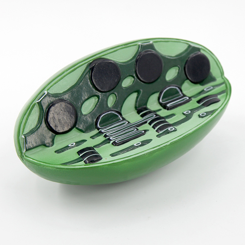 Chlorophyll model