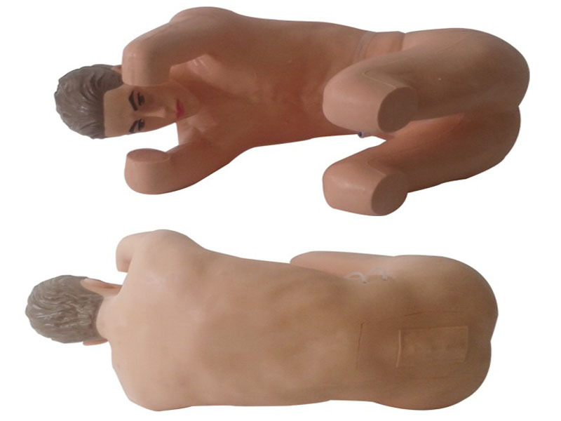 Adult Lumbar Puncture Simulator