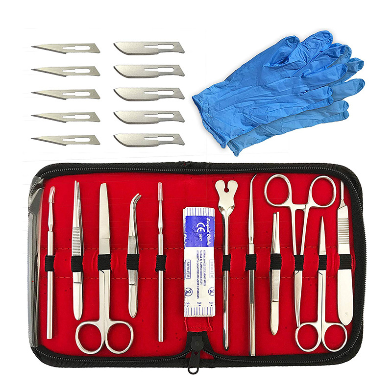 25 Pieces for Anatomy Biology Lab Experiment with Scalpel Blades Two Pairs Large Gloves and Organizer Storage Case