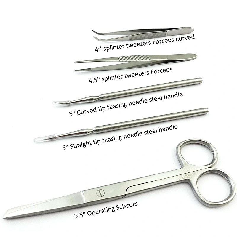 25 Pieces for Anatomy Biology Lab Experiment with Scalpel Blades Two Pairs Large Gloves and Organizer Storage Case