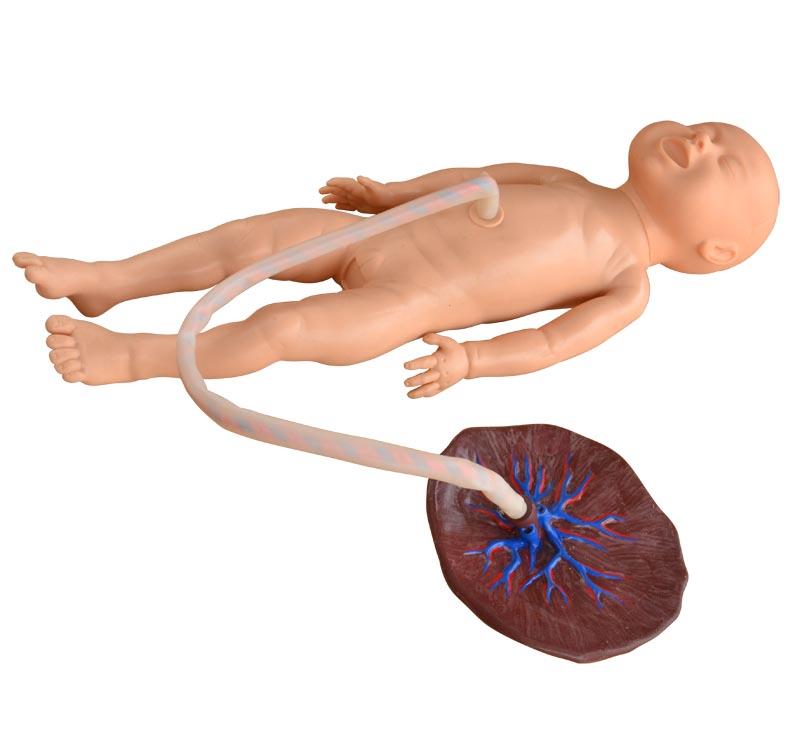 Advanced Nursing Training Manikin With Umbilical Cord And Placenta