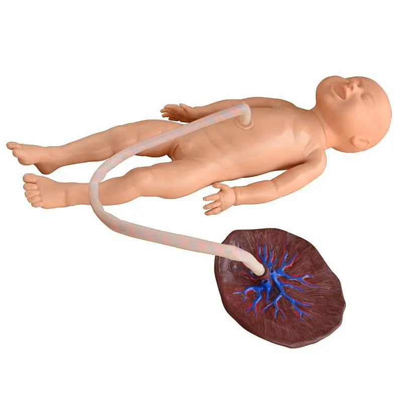 Advanced Nursing Training Manikin With Umbilical Cord And Placenta