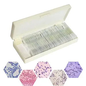 Bacteria Slide Separate Smears Gram Stain 50PCS