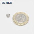 Irregular Shape Neodymium Magnets