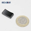 Neodymium Arc Magnet