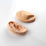 Acupuncture Model,Anatomical Model,Teaching Model,Acupuncture ear model,acupuncture model english,body model,chinese acupuncture points,human acupuncture model,hand foot ear point model,head points medical,education model,acupoint model,head and neck