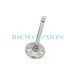 INTAKE VALVE Yanmar L48 114250-11101