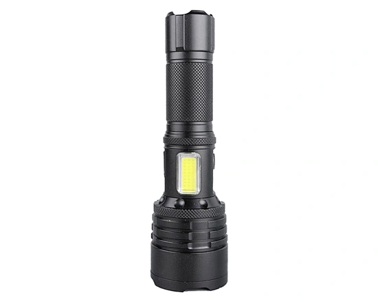 Zoomable  Flashlight