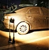 Flood Light