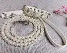 pet collars and leashes