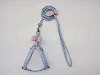 Dog Harness Leash Collar Set