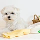 Banana Toy Set Dog Toy