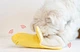 Banana Toy Set Dog Toy