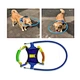 Pet car safety belt