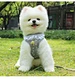 Dog Traction Rope Breathable Mesh Harness Leash Set