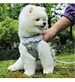 Dog Traction Rope Breathable Mesh Harness Leash Set