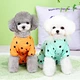 Pet Clothing Polka