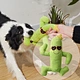 Cactus Chew  Dog Toy