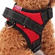 Dog Weight Harness