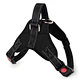 Dog Weight Harness