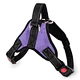 Dog Weight Harness