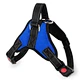 Dog Weight Harness