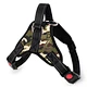 Dog Weight Harness