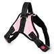 Dog Weight Harness