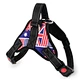 Dog Weight Harness