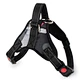 Dog Weight Harness