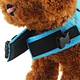 Dog Life Vest Harness Shark Fin Shape