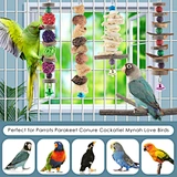 Large Parrot Bird Chewing Toys