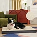 Winter Memory Sponge Mat
