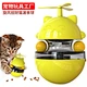 Cat Leaking Ball