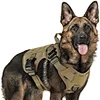 Buckle tactical Large Dog vest
