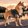 Buckle tactical Large Dog vest