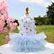 Dog Princess Dress