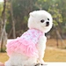 Dog Princess Dress