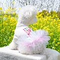 Dog Birthday Clothes