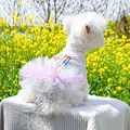Dog Birthday Clothes