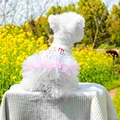 Dog Birthday Clothes