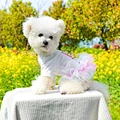 Dog Birthday Clothes